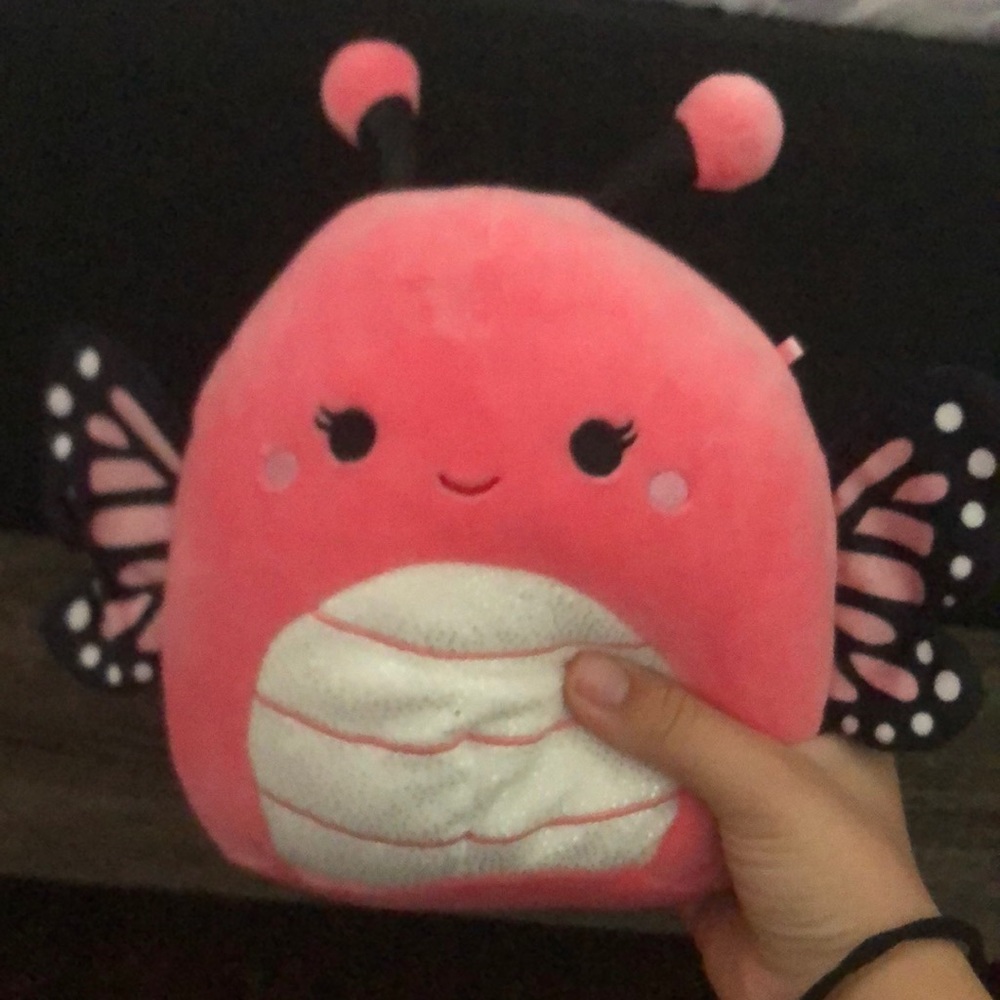 andreina squishmallow
